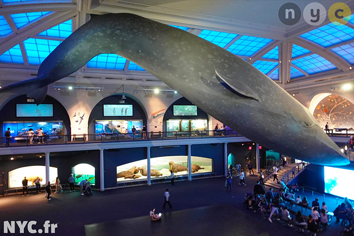Les meilleurs bons plans pour des visites de musées à New York
